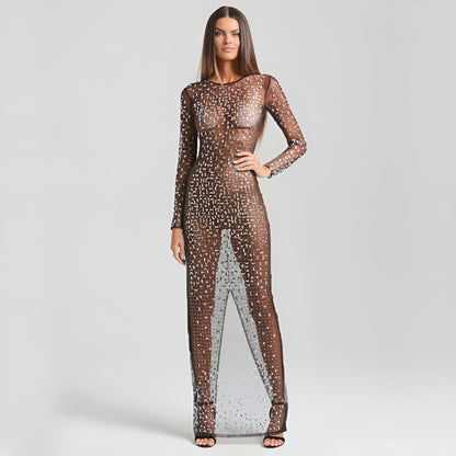 CELESTE MIRROR MESH DRESS